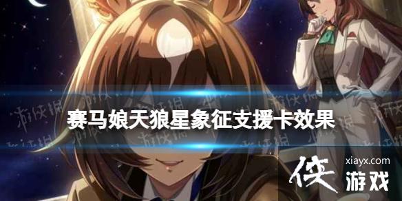 �����������Ρ�����������֧Ԯ����ô�� ssr֧Ԯ������������Ч������