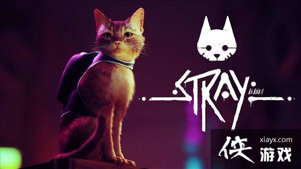 �ƻ�ð����Ϸ��Stray��ͨ���������� ����΢�������