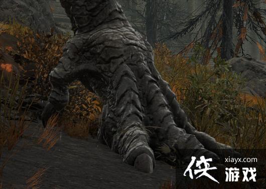 前方《艾尔登法环》攻略指引 但专属于jio控爱好者 前方《艾尔登法环》攻略指引 但专属于jio控爱好者