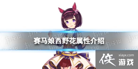 �����������Ρ���Ұ����ô�� ����������Ұ�����Խ���