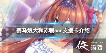 �����������Ρ���ͳ���֧Ԯ����ô�� ssr֧Ԯ����ͳ���Ч������