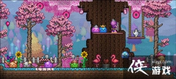 ��̩�����ǡ�ӭ��11��������� ����׷���³���ʷ��ķ