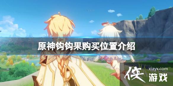 《原神》钩钩果哪里有卖？钩钩果购买位置介绍