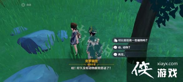 《原神》钩钩果哪里有卖？钩钩果购买位置介绍