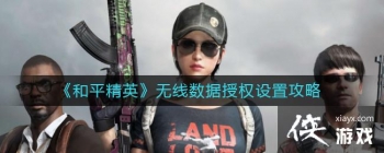 ��ƽ��Ӣ����������Ȩ���ù���