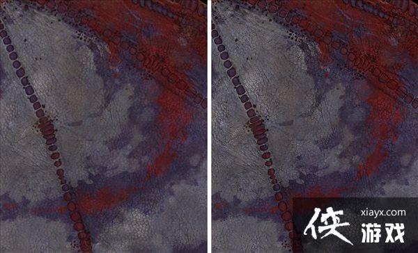 8K?16K!《上古卷轴5》“龙”高清分辨率MOD 8K?16K!《上古卷轴5》“龙”高清分辨率MOD