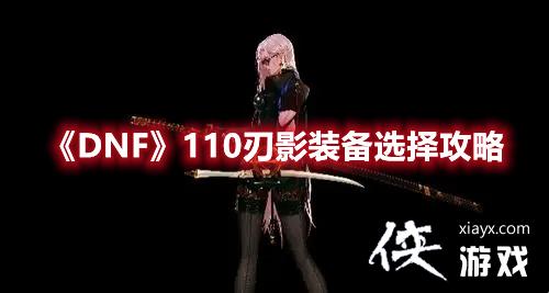 DNF110��Ӱװ��ѡ����
