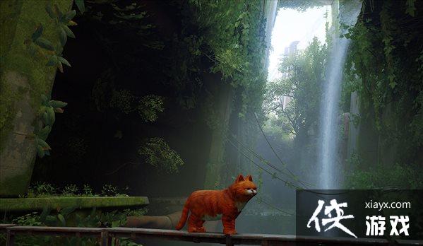 �����ˡ��ӷ�èMOD ����������Ҳ��̽������������