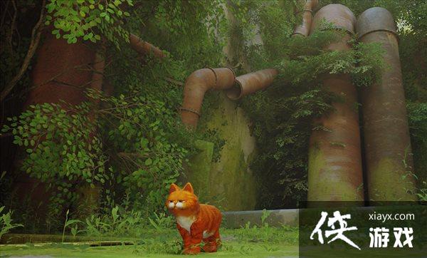 �����ˡ��ӷ�èMOD ����������Ҳ��̽������������