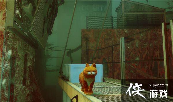 �����ˡ��ӷ�èMOD ����������Ҳ��̽������������