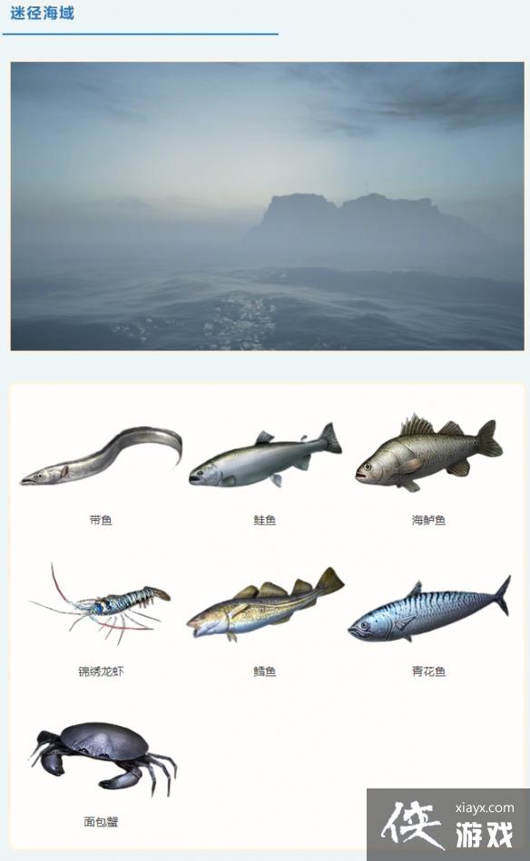 ������֮�󡷺������ֲַ�һ��