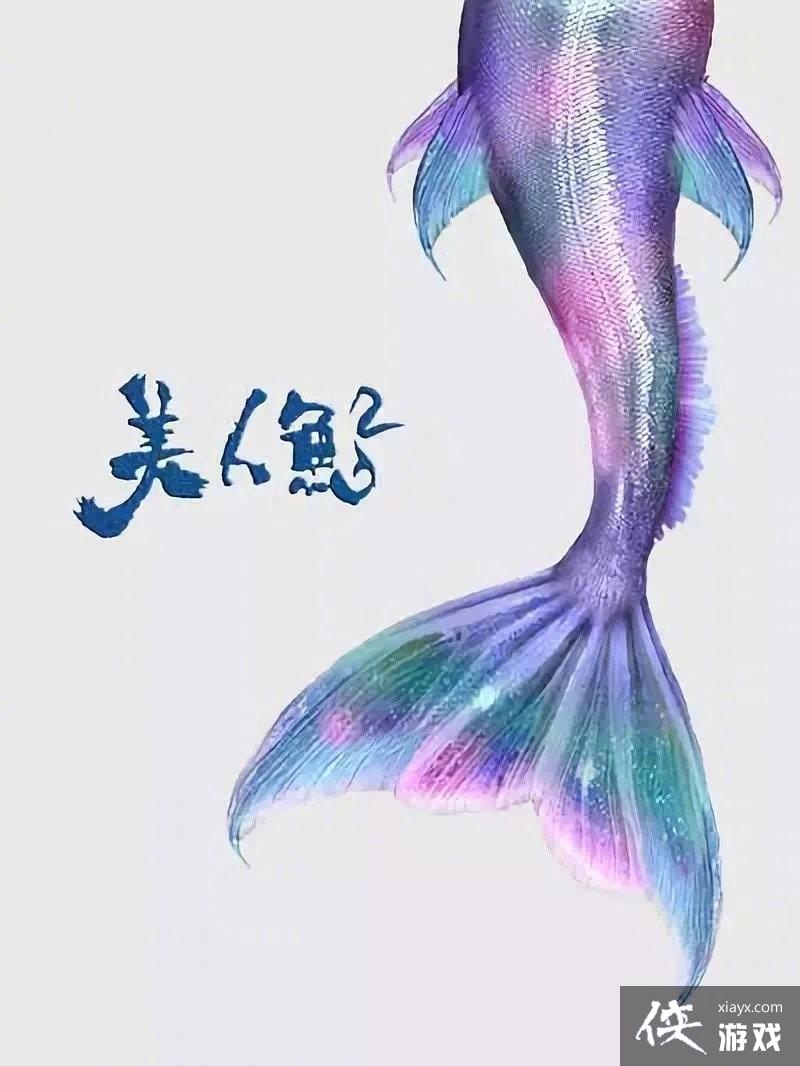 ��������2���ƻ���2022���ļ�����ӳ ������������