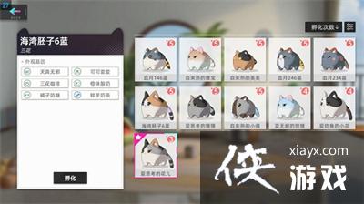 ��è֮�ǡ�9����������һ����ȫ2022����