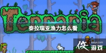 ̩������������ô��