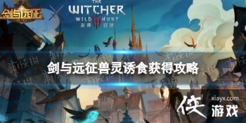 ����Զ��������ʳ��ô���