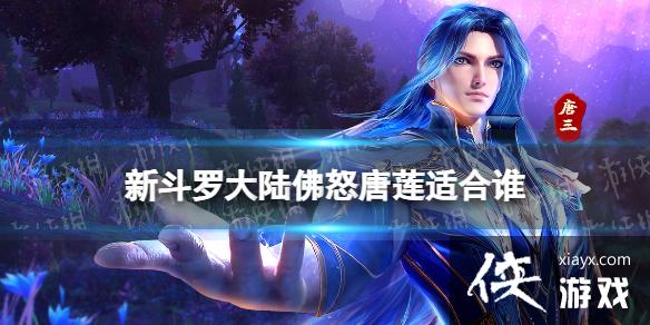 新斗罗大陆佛怒唐莲适合谁