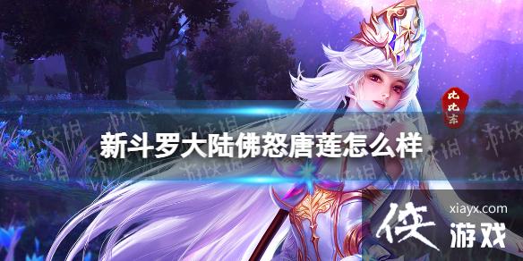 新斗罗大陆佛怒唐莲怎么样