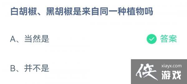 ��֧����������ׯ԰9��16�մ�����2022