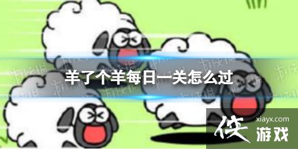 羊了个羊每日一关怎么过 羊了个羊每日一关怎么过