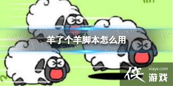 ���˸���ű���ô��