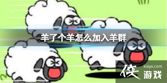 羊了个羊怎么加入羊群 羊了个羊怎么加入羊群