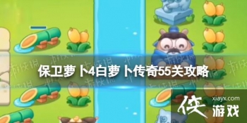 �����ܲ�4���ܲ������55����ô��