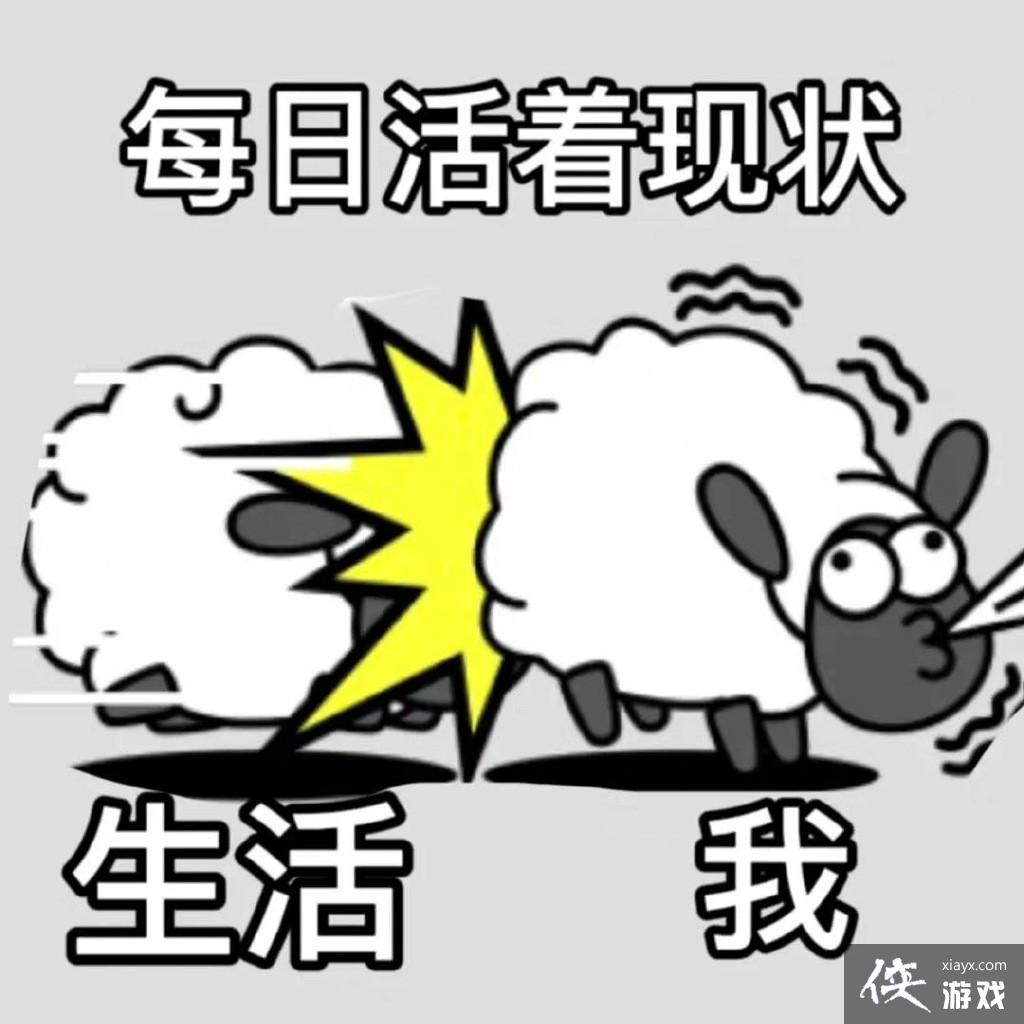 �����˸������ű������ȫ