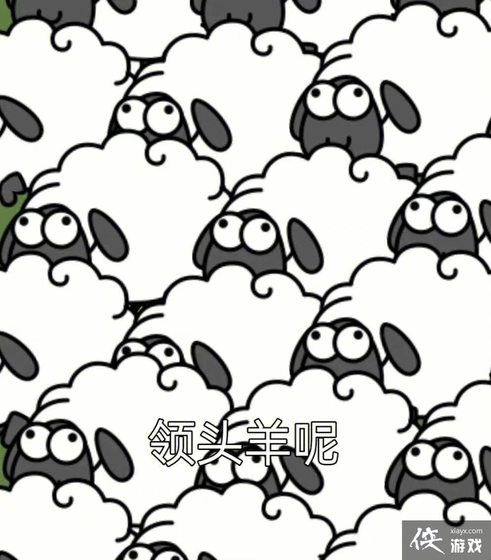 �����˸������ű������ȫ