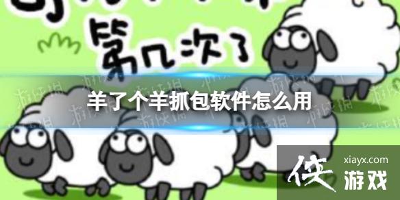 羊了个羊抓包软件怎么用?羊了个羊抓包工具下载使用教程 羊了个羊抓包软件怎么用?羊了个羊抓包工具下载使用教程