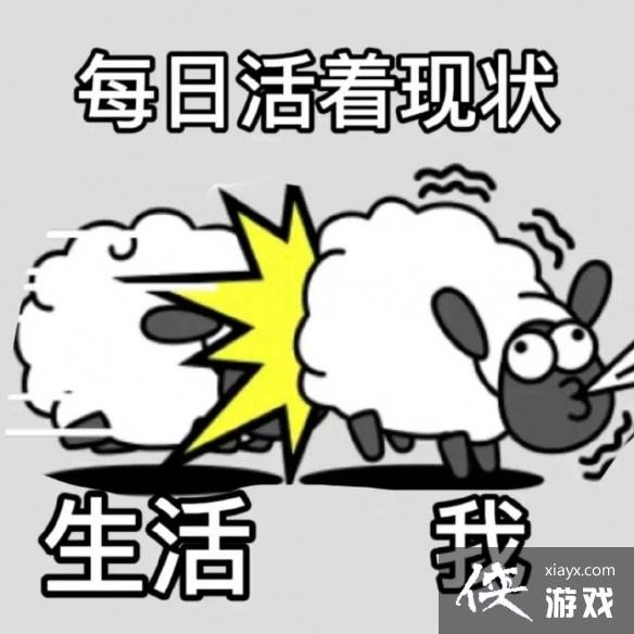 ���˸�����������