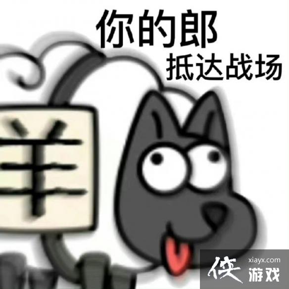 ���˸�����������