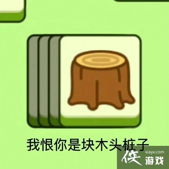 ���˸�����������