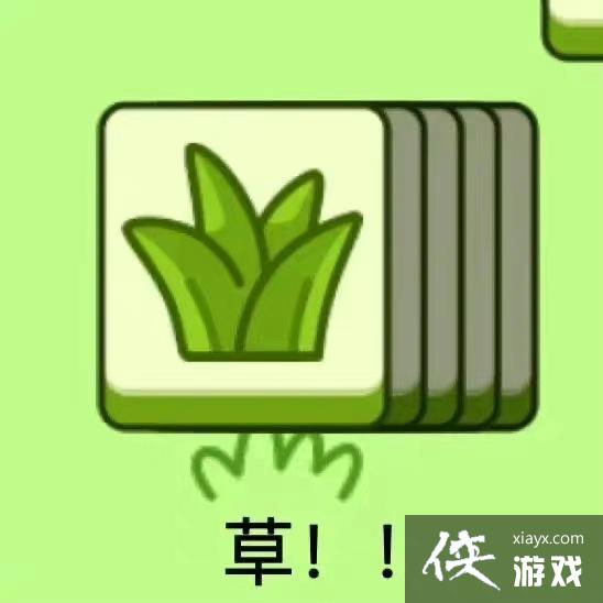 ���˸�����������