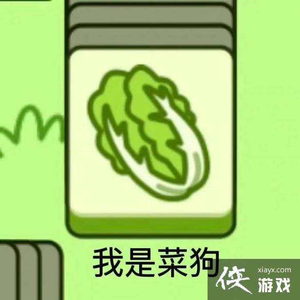 ���˸�����������