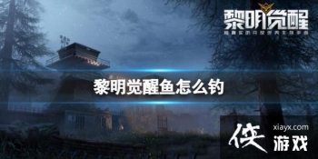 ������������ô��