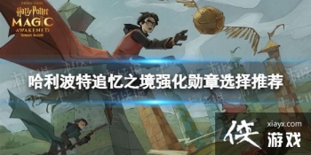 ��������ħ������׷��֮��ǿ��ѫ��ѡʲô��