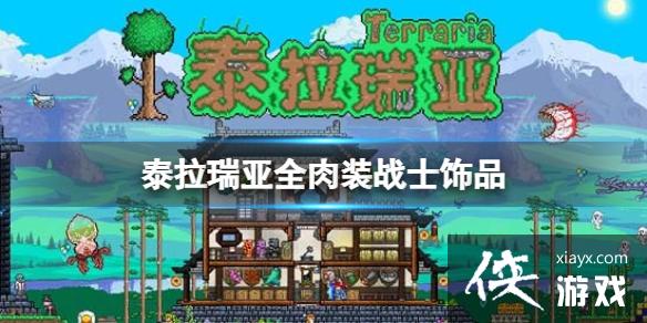 泰拉瑞亚全肉装战士饰品 泰拉瑞亚全肉装战士饰品