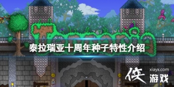 ̩������ʮ�����������Խ���