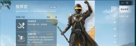 ��ƽ��Ӣ����Կ�