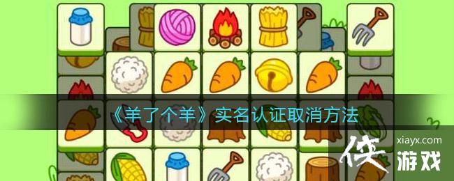 �����˸���ʵ����֤ȡ������