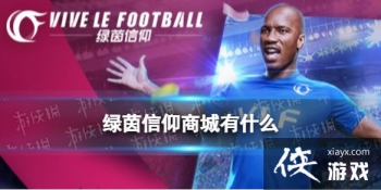 ���������̳���ʲô