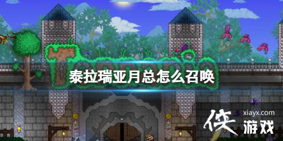 ̩������������ô�ٻ�