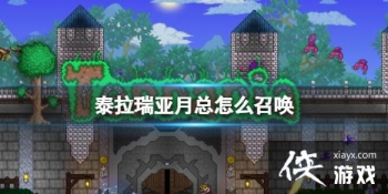 ̩������������ô�ٻ�