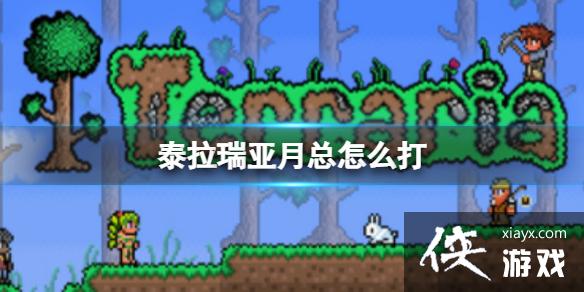 泰拉瑞亚月总怎么打 泰拉瑞亚月总怎么打