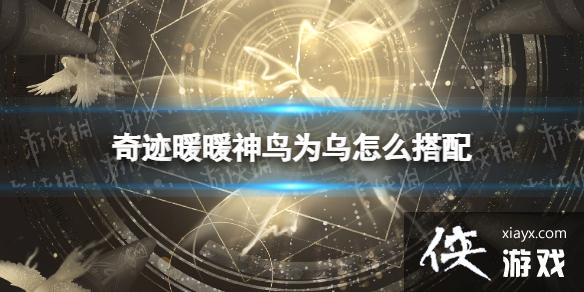奇迹暖暖神鸟为乌怎么搭配 奇迹暖暖神鸟为乌怎么搭配