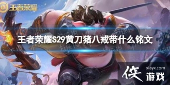 ������ҫS29�Ƶ����˽��ʲô����