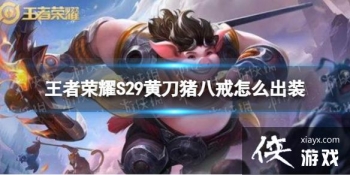 ������ҫS29�Ƶ����˽���ô��װ
