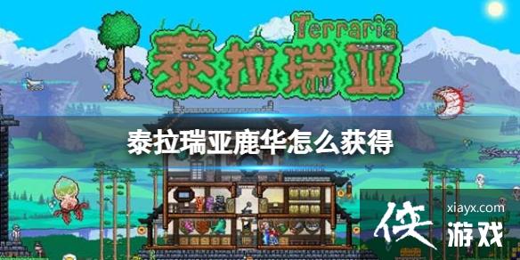 ̩������¹����ô���