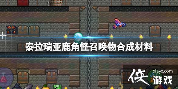 ̩������¹�ǹ��ٻ���ϳɲ���