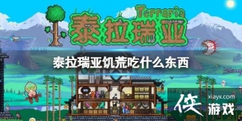 ̩�����Ǽ��ĳ�ʲô����